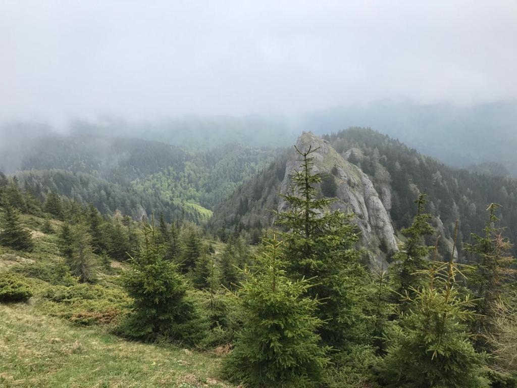 Apartament Ovo Sinaia Luaran gambar