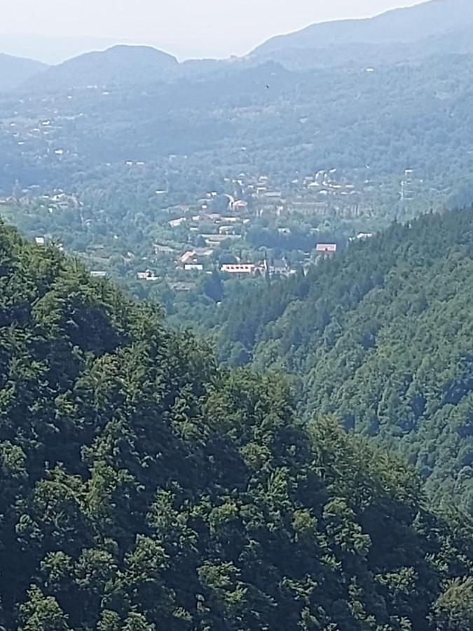 Apartament Ovo Sinaia Luaran gambar