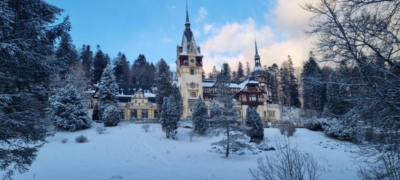 Apartament Ovo Sinaia Luaran gambar