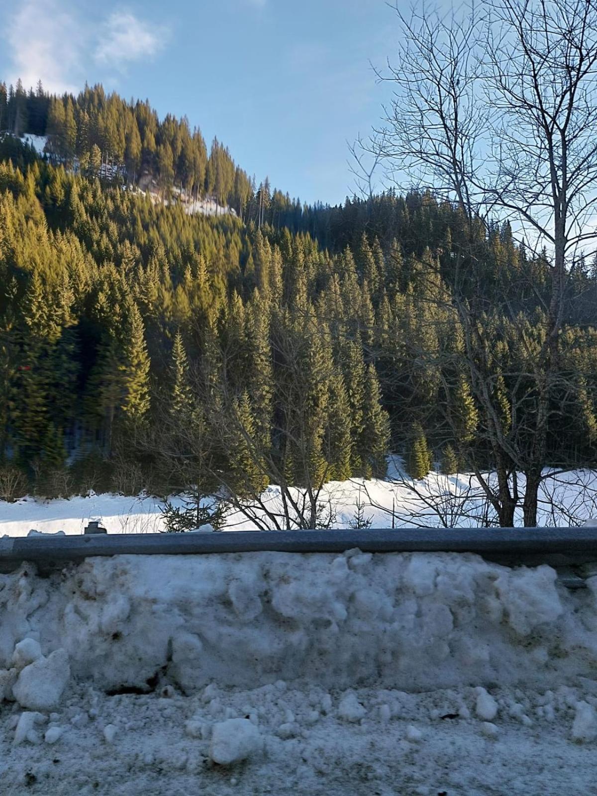 Apartament Ovo Sinaia Luaran gambar