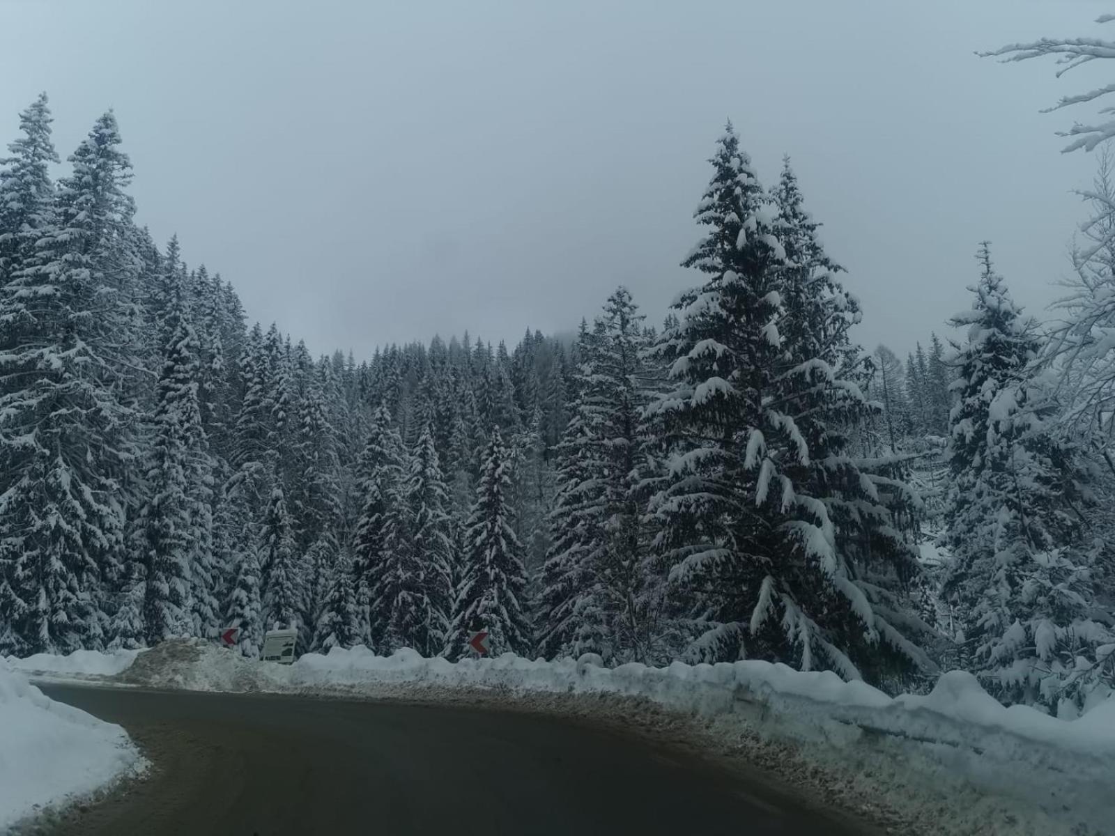 Apartament Ovo Sinaia Luaran gambar