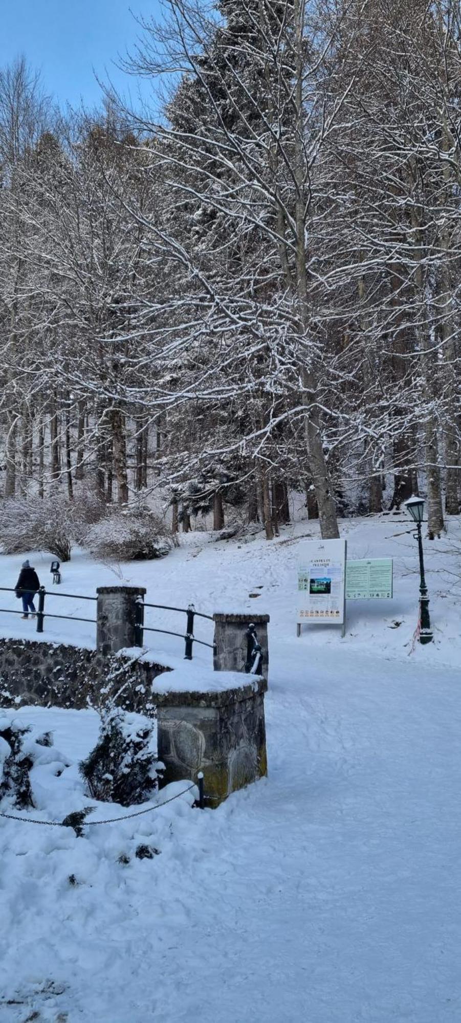 Apartament Ovo Sinaia Luaran gambar