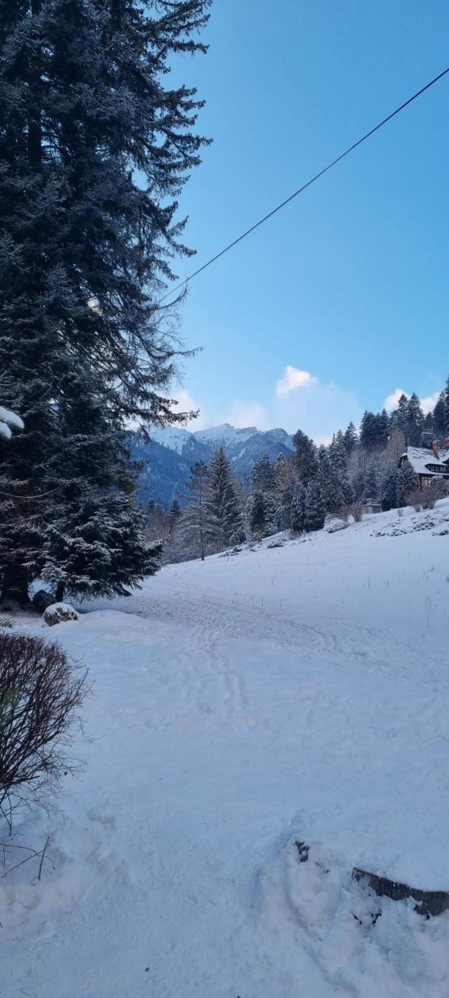 Apartament Ovo Sinaia Luaran gambar
