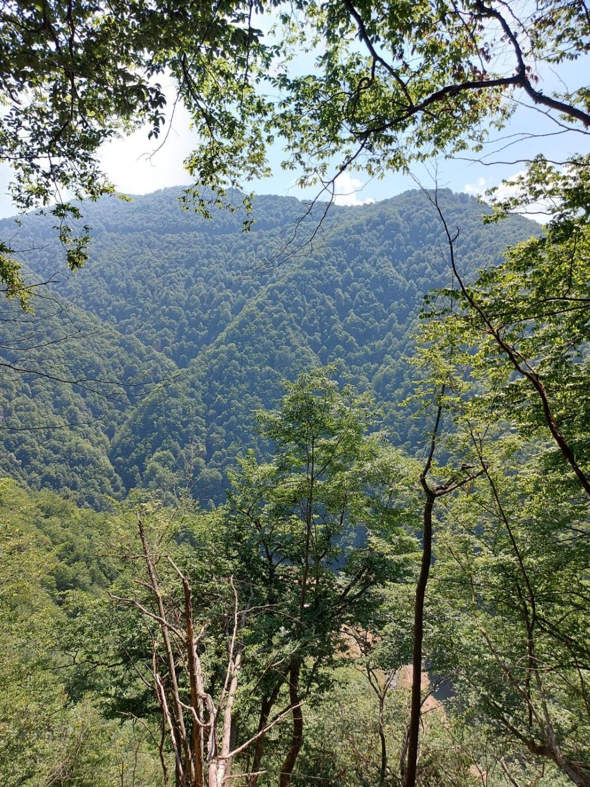 Apartament Ovo Sinaia Luaran gambar