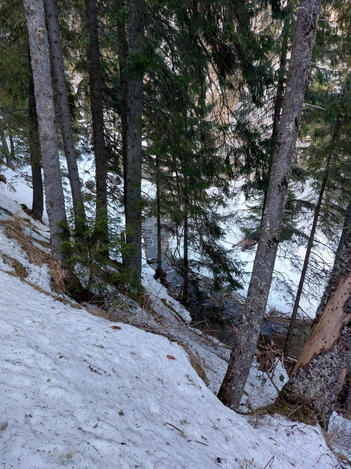 Apartament Ovo Sinaia Luaran gambar